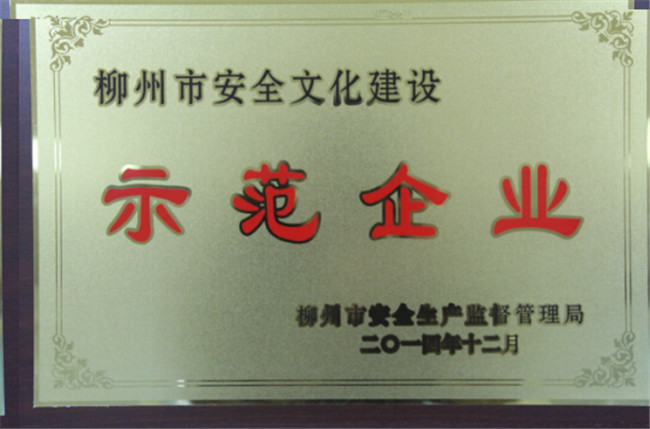 全國城市安全文化建設(shè)示范企業(yè)